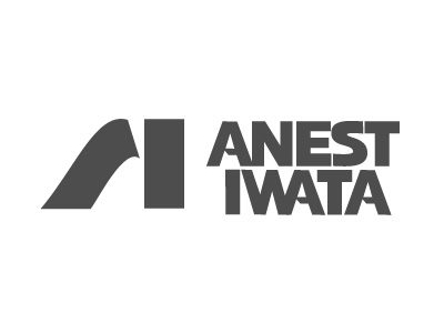 logo 400x300 project_anest iwata